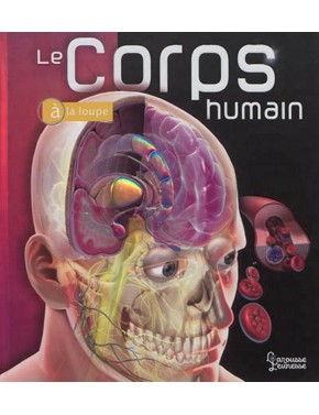 Le corps humain à la loupe